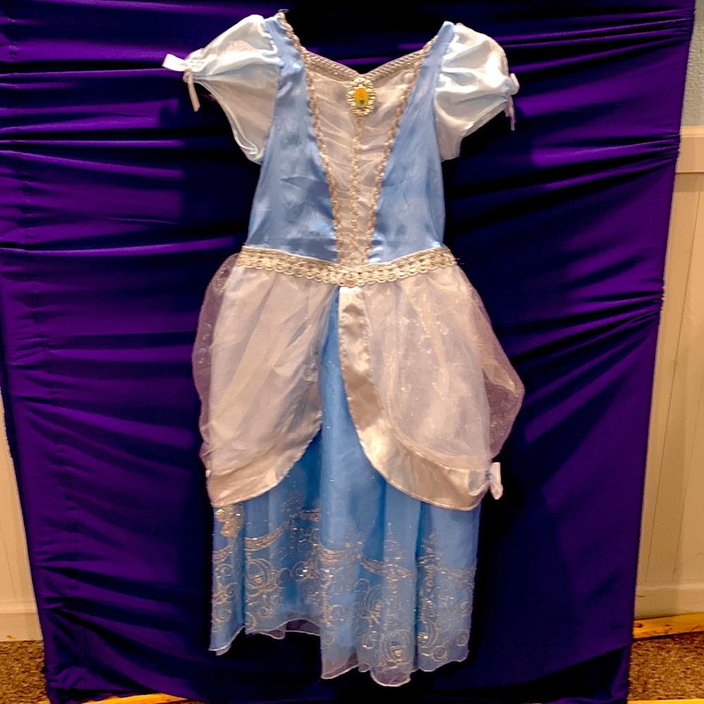 Cinderella Costume